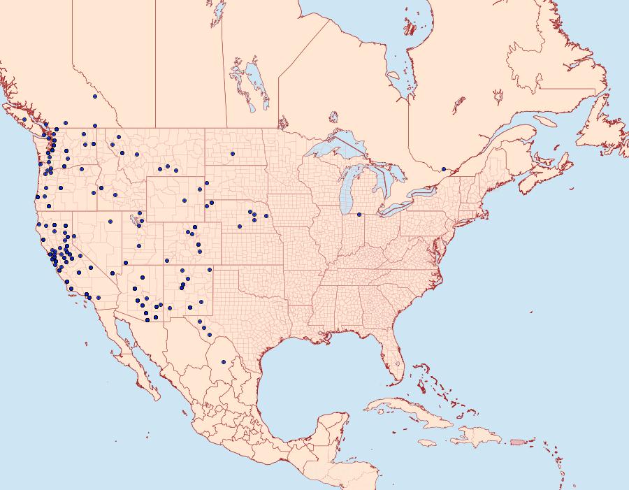 Distribution Data for Celastrina echo