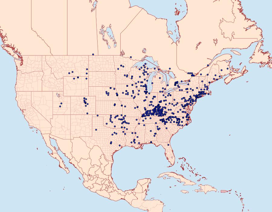 Distribution Data for Celastrina neglecta