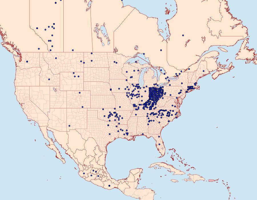 Distribution Data for Celastrina ladon