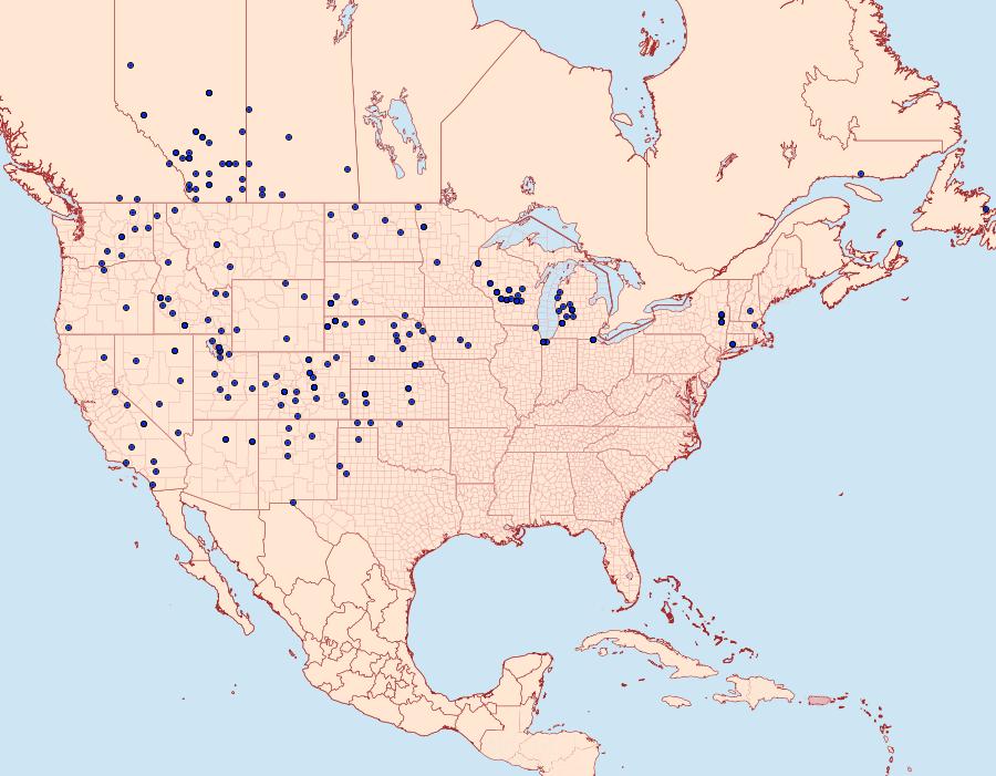 Distribution Data for Plebejus melissa