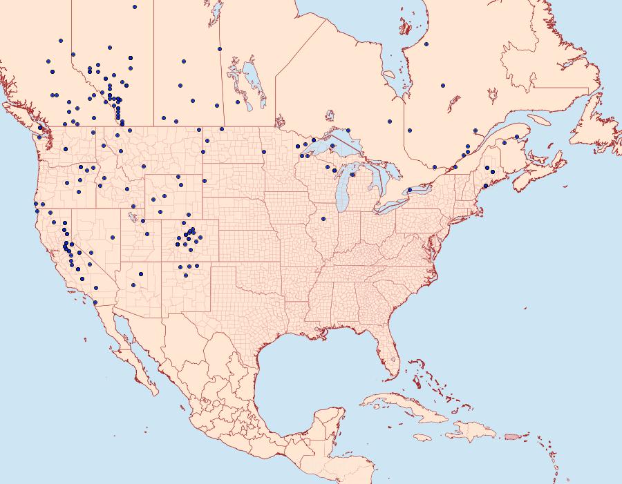 Distribution Data for Icaricia saepiolus