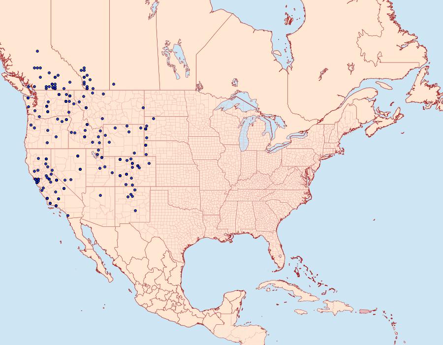 Distribution Data for Icaricia icarioides