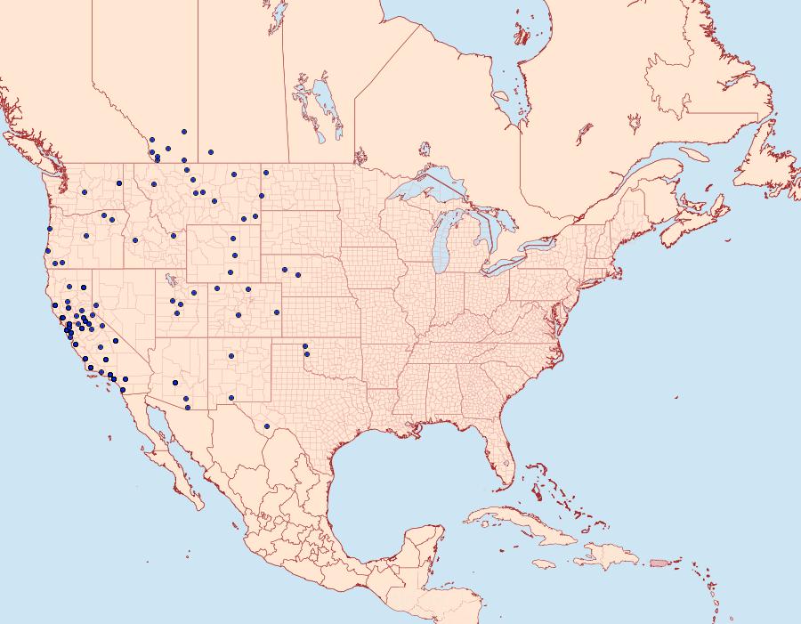 Distribution Data for Icaricia acmon