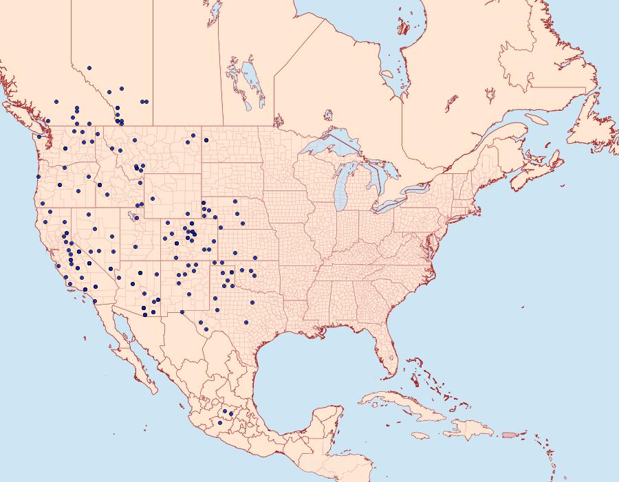 Distribution Data for Icaricia lupini