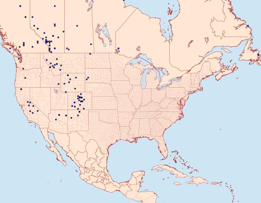 Distribution Data for Agriades glandon