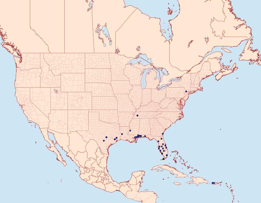 Distribution Data for Cryptothelea nigrita