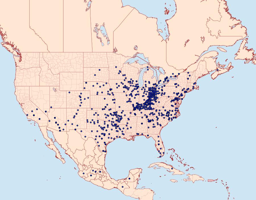 Distribution Data for Libytheana carinenta