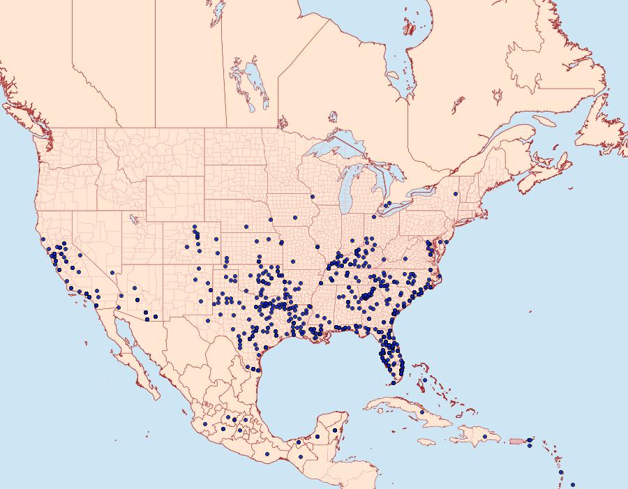 Distribution Data for Dione incarnata