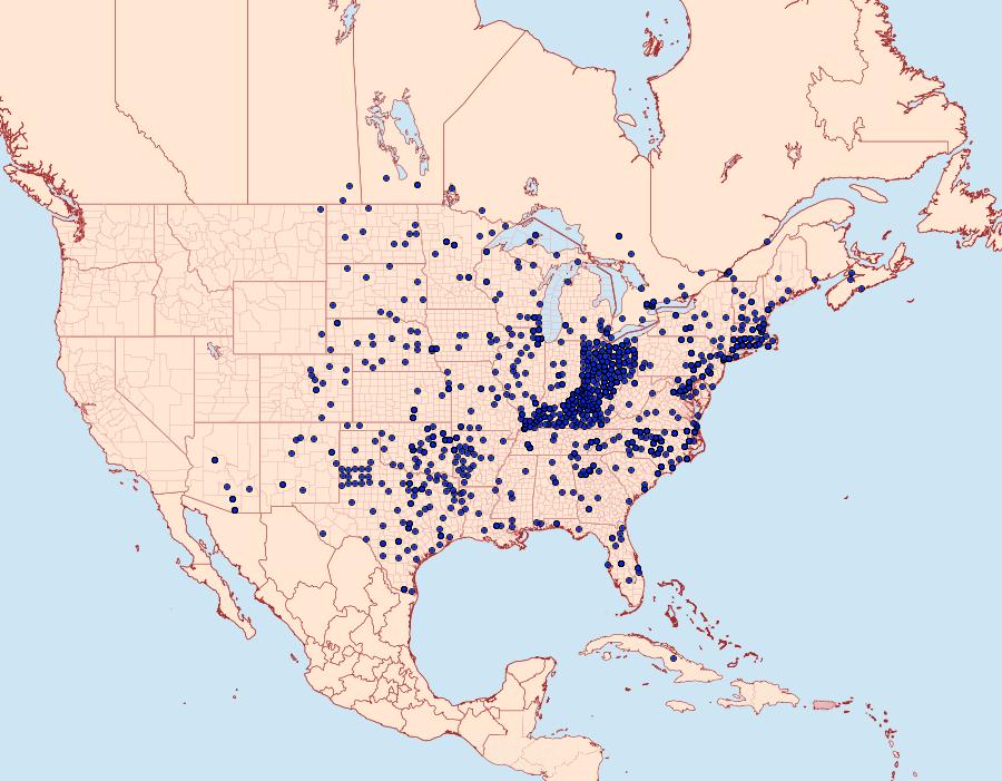 Distribution Data for Polygonia interrogationis