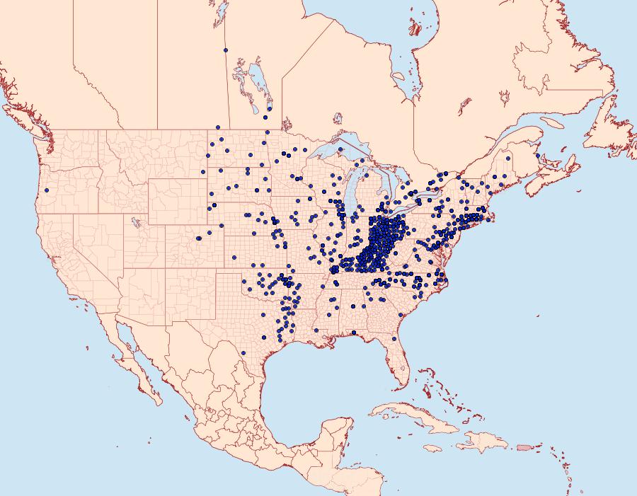 Distribution Data for Polygonia comma