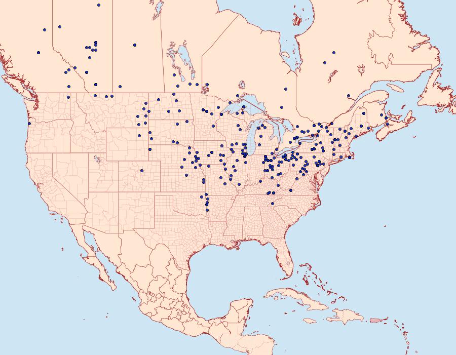 Distribution Data for Polygonia progne