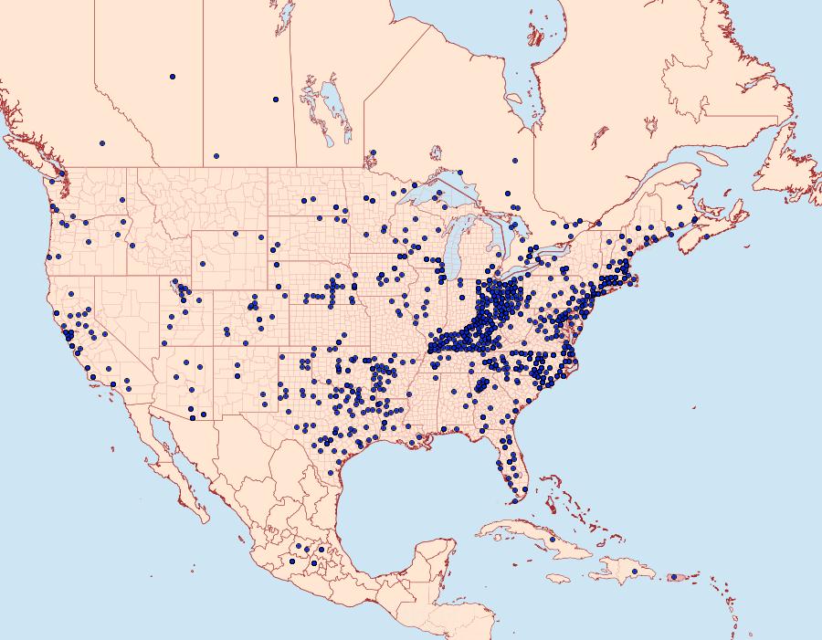 Distribution Data for Vanessa virginiensis