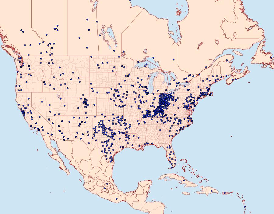 Distribution Data for Vanessa cardui