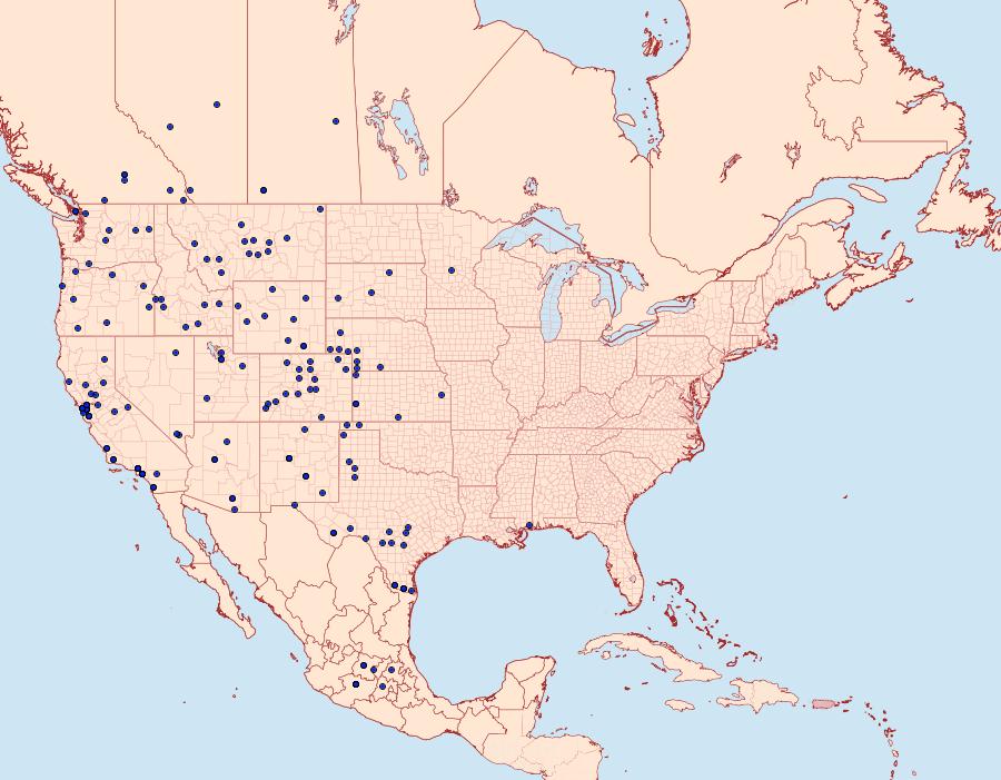 Distribution Data for Vanessa annabella