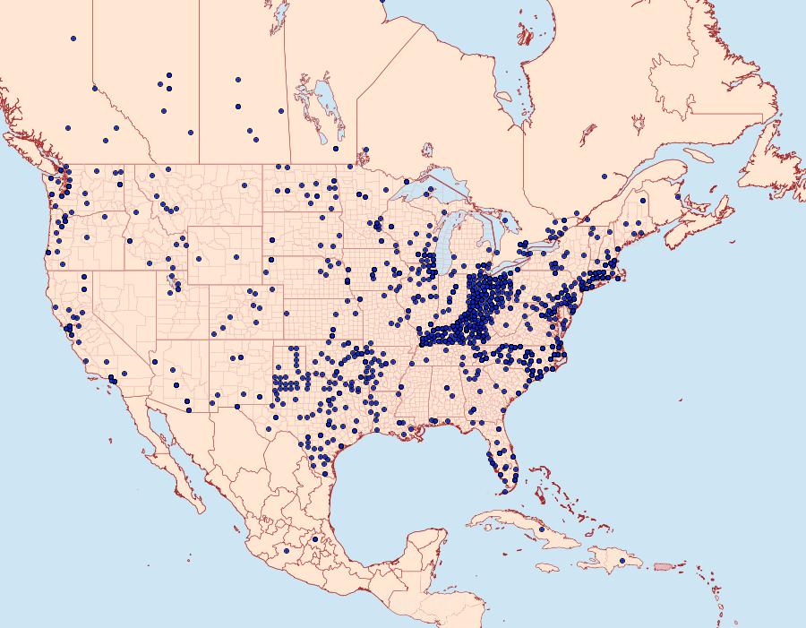 Distribution Data for Vanessa atalanta