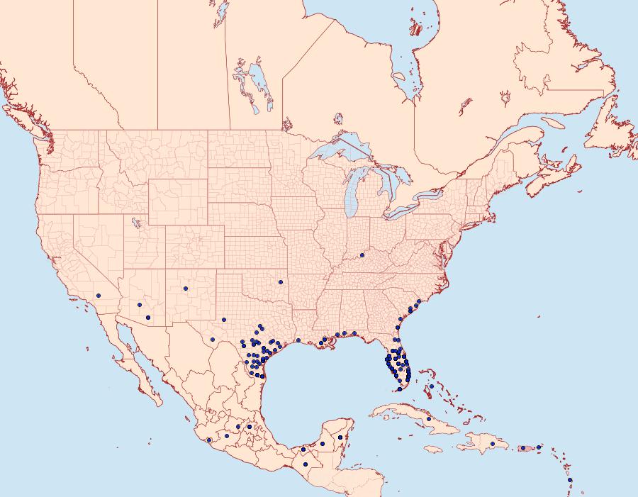 Distribution Data for Anartia jatrophae