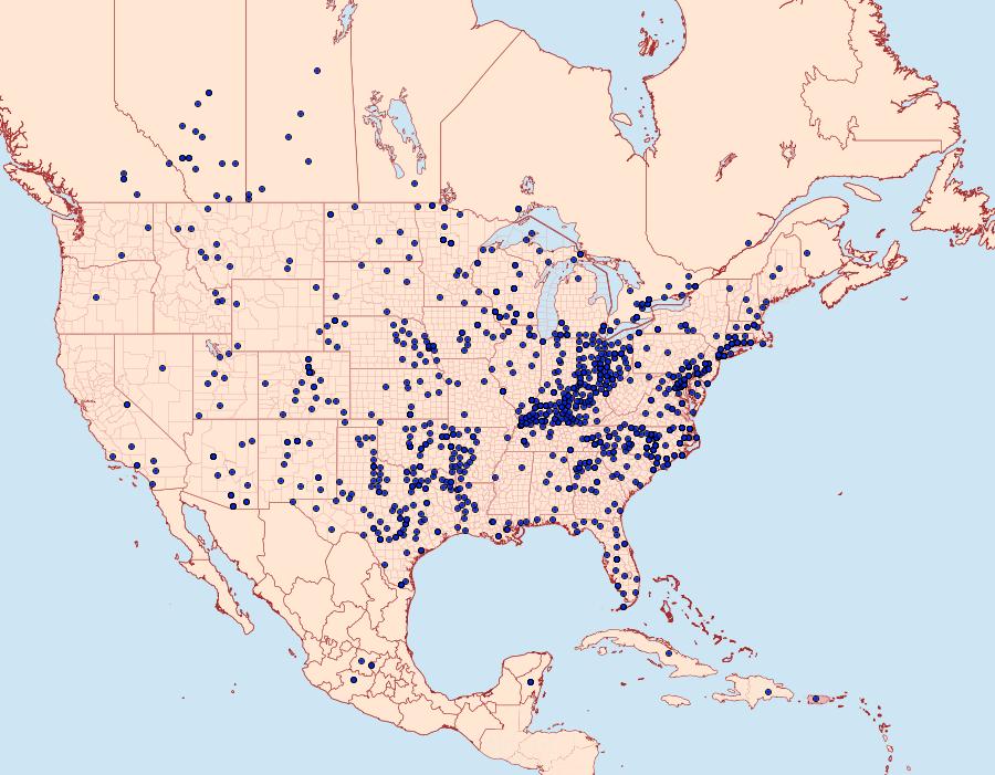 Distribution Data for Euptoieta claudia