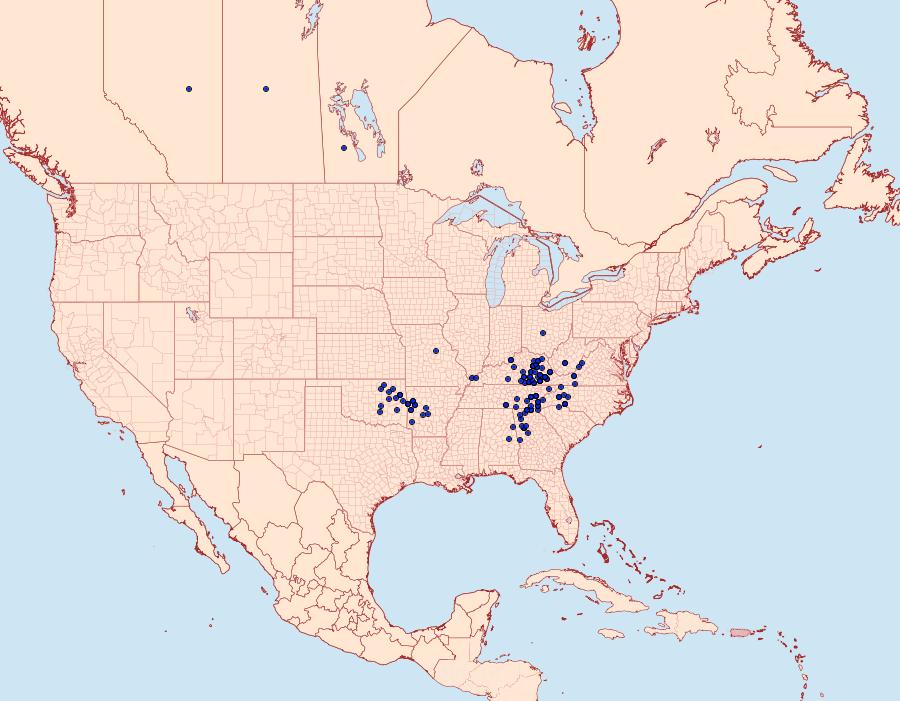 Distribution Data for Argynnis diana