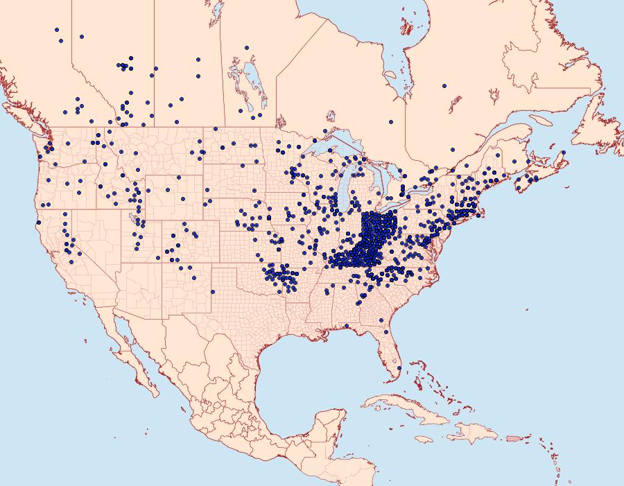 Distribution Data for Argynnis cybele