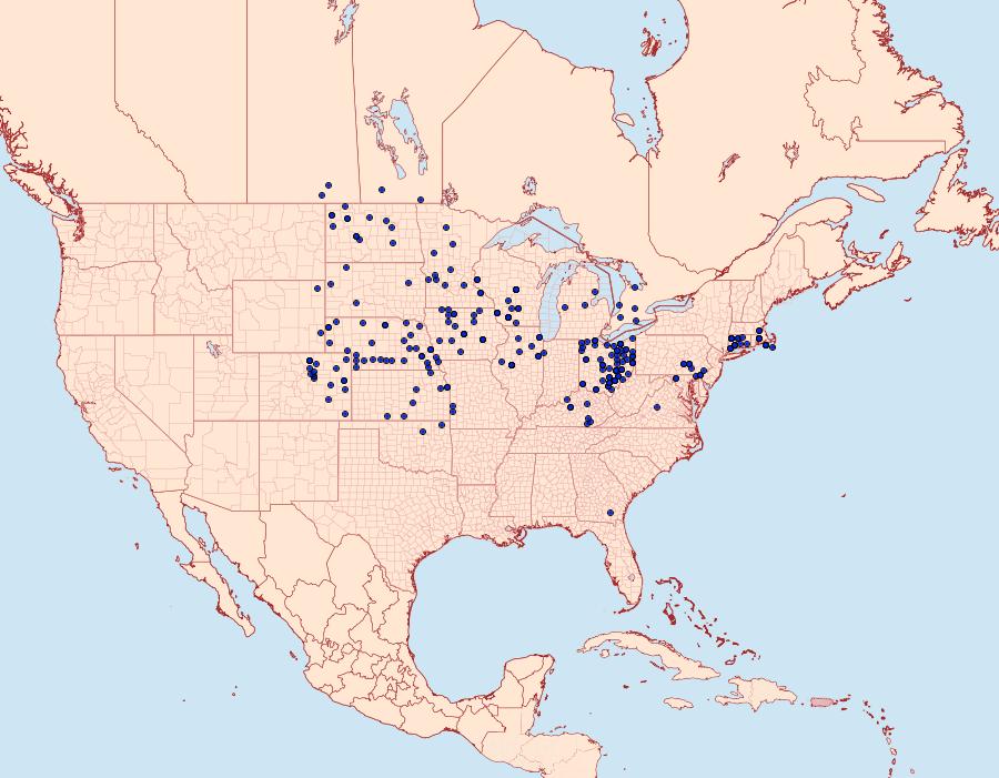 Distribution Data for Argynnis idalia