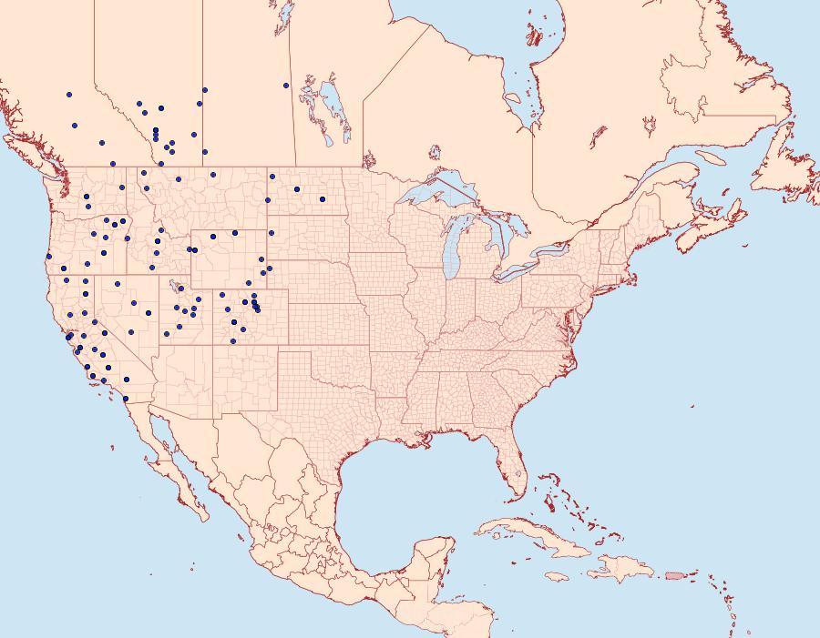 Distribution Data for Argynnis callippe