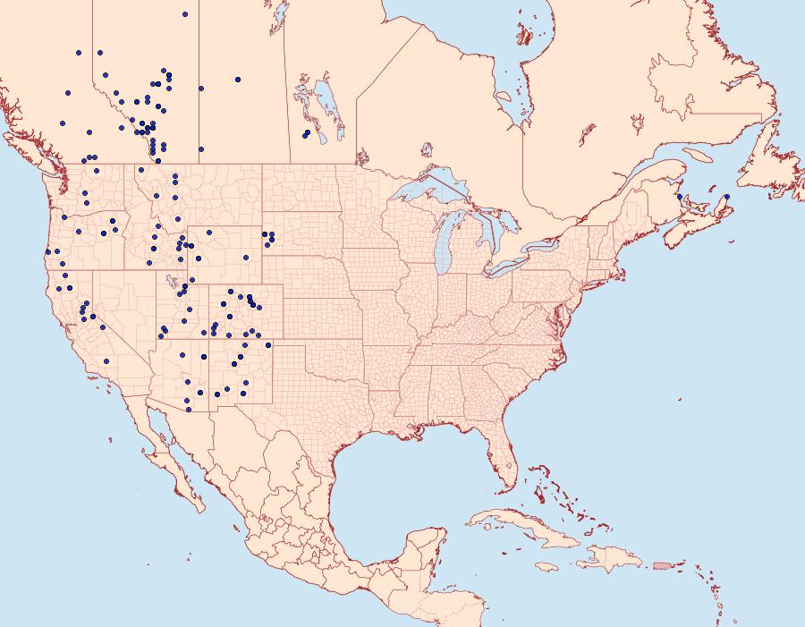 Distribution Data for Argynnis hesperis