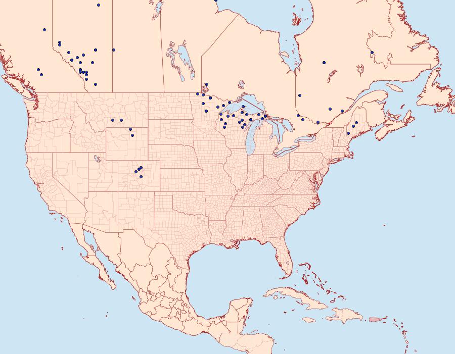 Distribution Data for Boloria eunomia