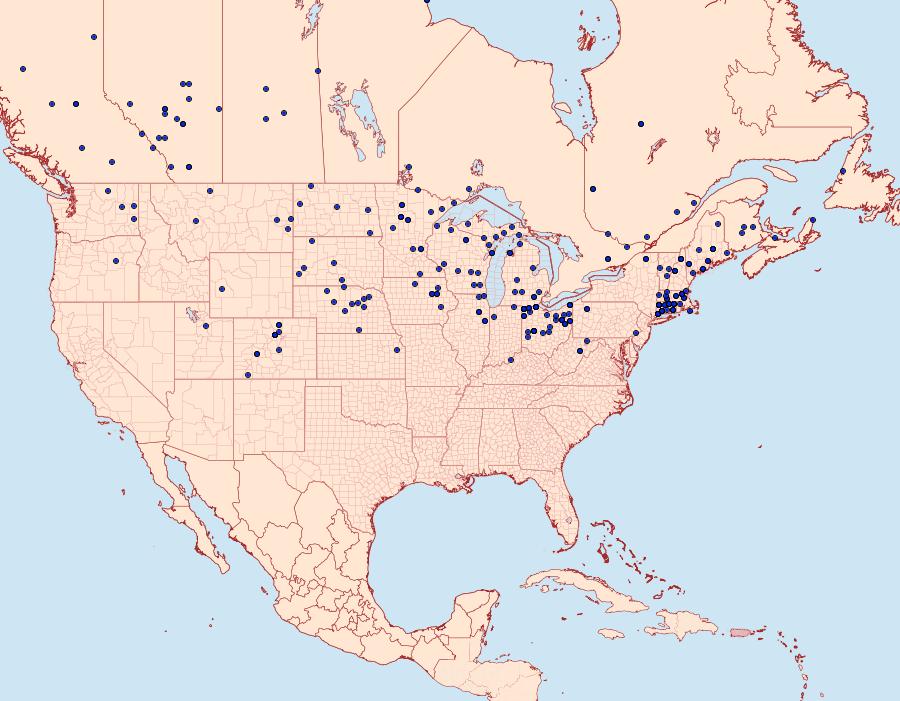 Distribution Data for Boloria myrina