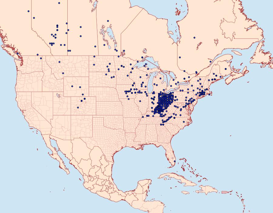 Distribution Data for Boloria bellona