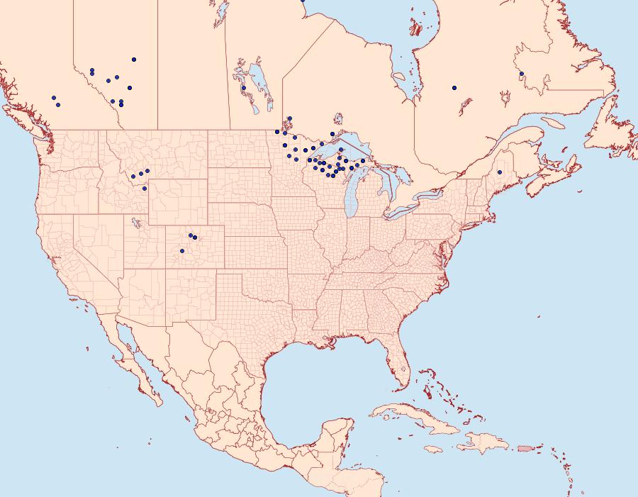 Distribution Data for Boloria frigga