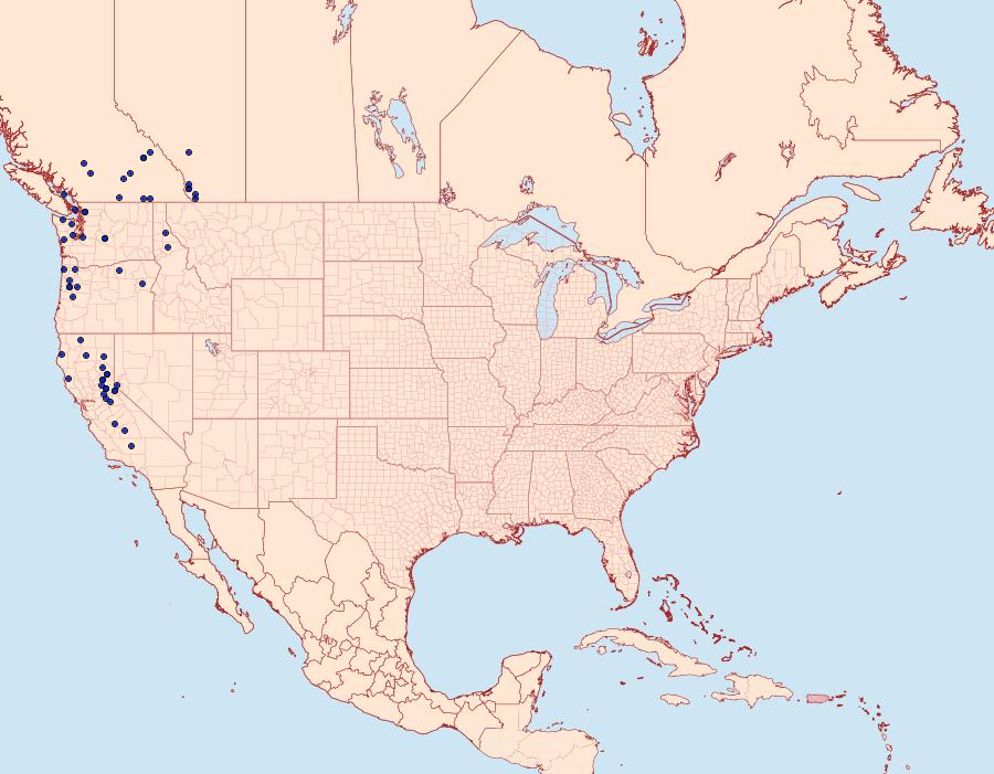 Distribution Data for Boloria epithore