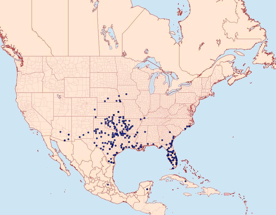 Distribution Data for Phyciodes phaon