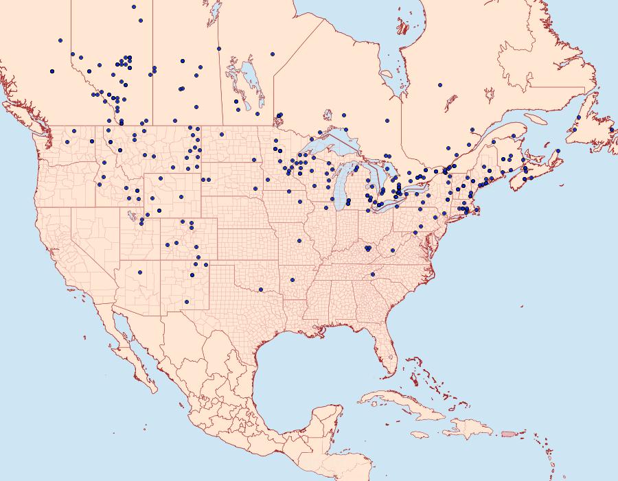 Distribution Data for Phyciodes cocyta