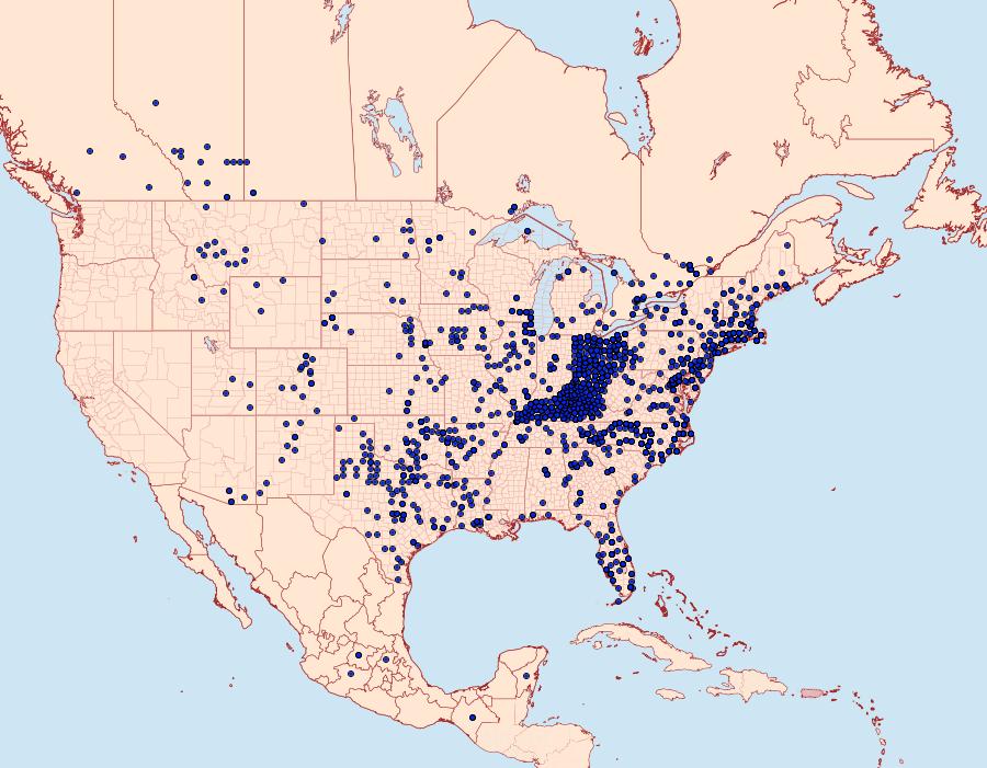 Distribution Data for Phyciodes tharos