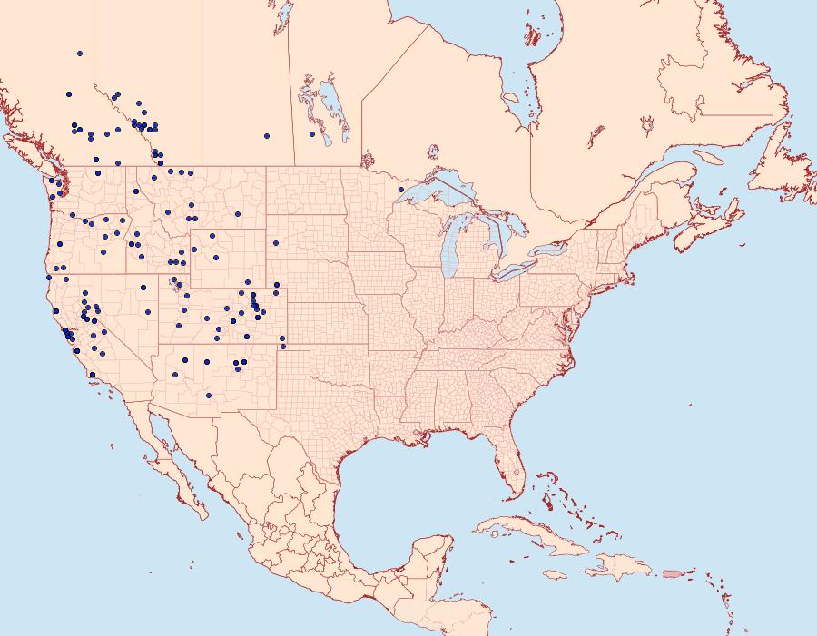 Distribution Data for Phyciodes pulchella