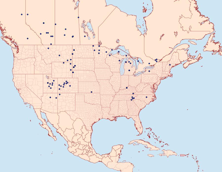 Distribution Data for Phyciodes batesii