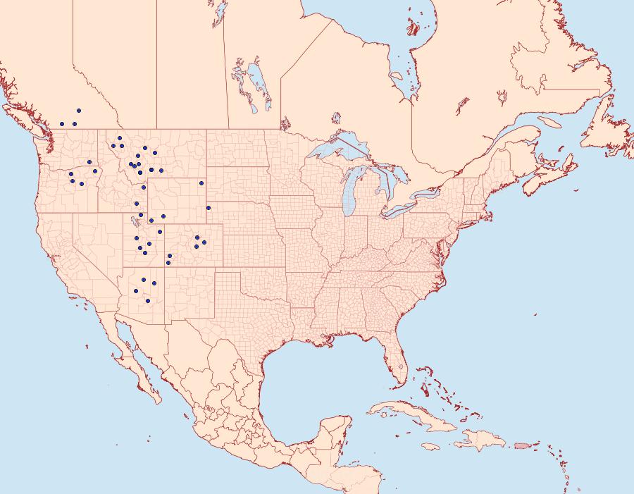 Distribution Data for Phyciodes pallida