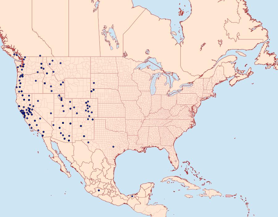 Distribution Data for Phyciodes mylitta