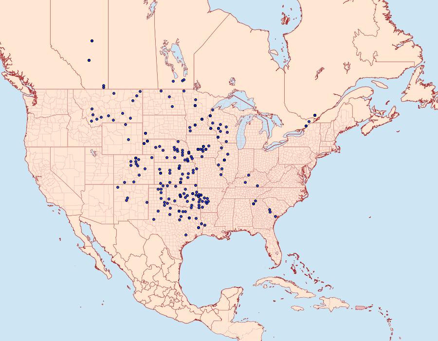 Distribution Data for Chlosyne gorgone