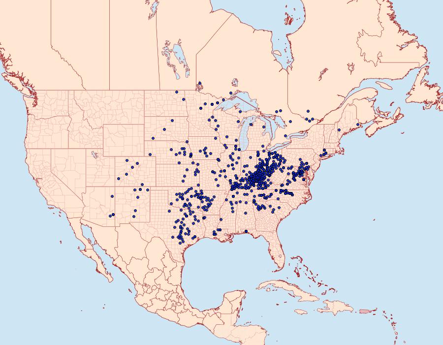 Distribution Data for Chlosyne nycteis