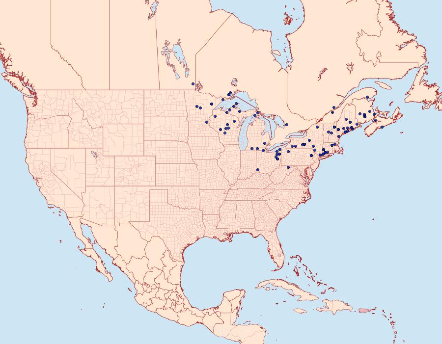 Distribution Data for Chlosyne harrisii