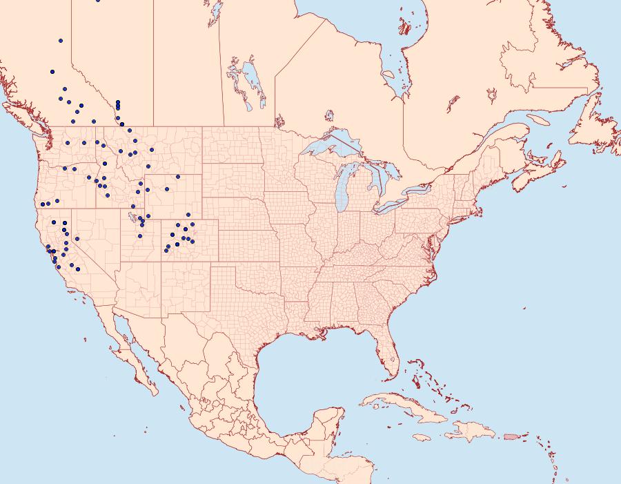 Distribution Data for Chlosyne palla