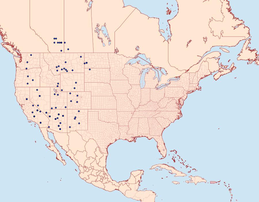 Distribution Data for Chlosyne acastus