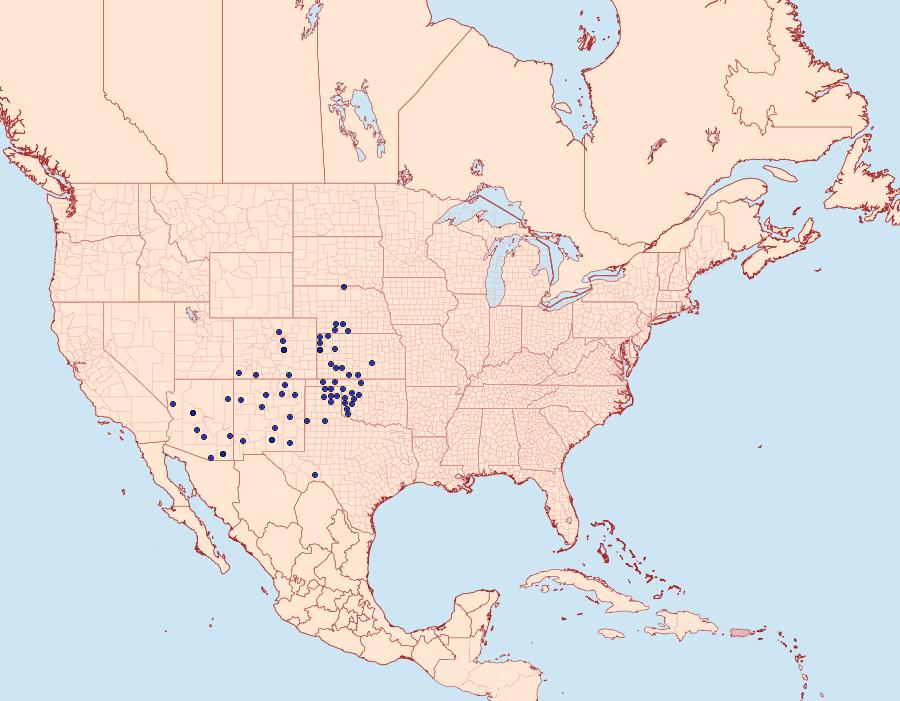 Distribution Data for Chlosyne fulvia