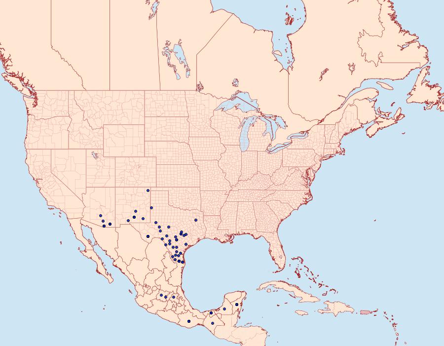 Distribution Data for Chlosyne theona