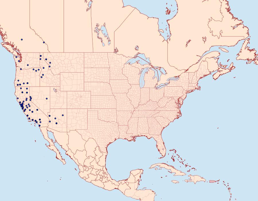 Distribution Data for Euphydryas chalcedona