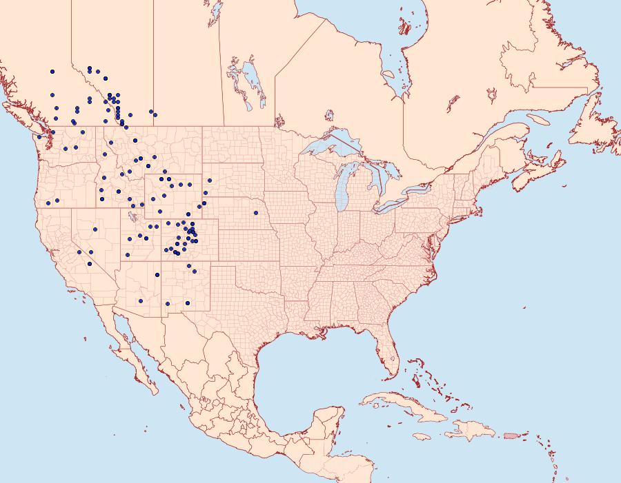 Distribution Data for Euphydryas anicia