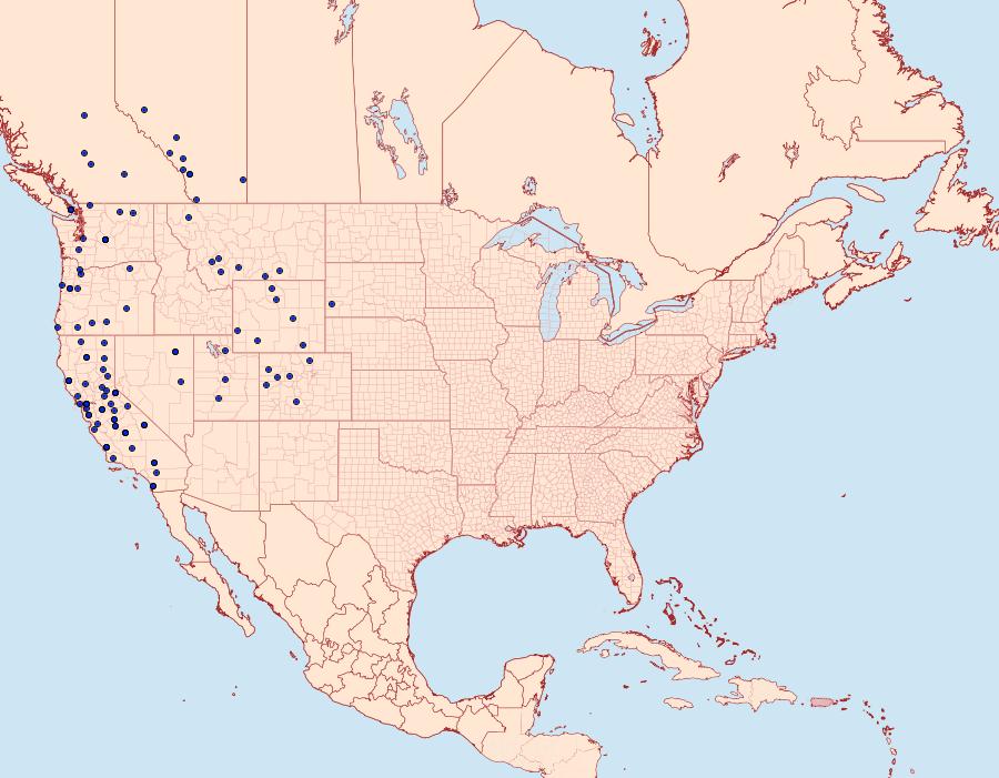 Distribution Data for Euphydryas editha