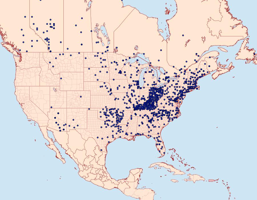 Distribution Data for Limenitis arthemis