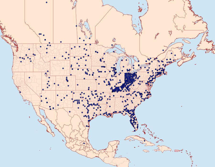 Distribution Data for Limenitis archippus